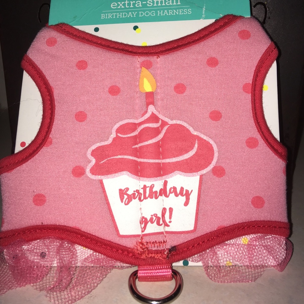 COPY - NEW! Birthday Girl Dog Harness Size XS